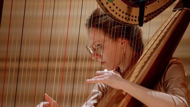 Deanna Cirielli, Harp